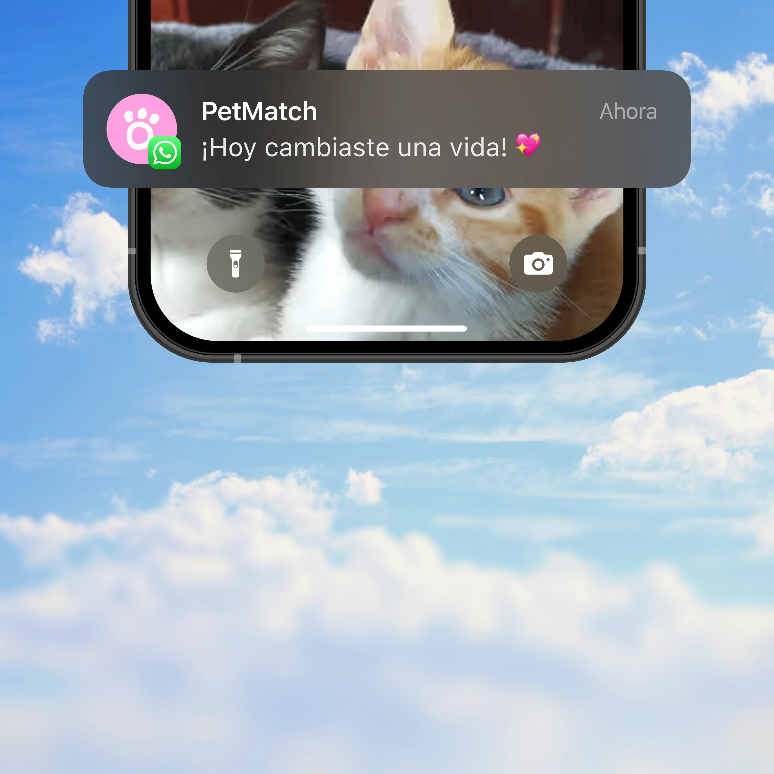El mejor servicio