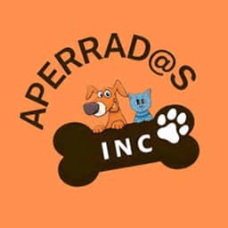 Refugio aliado de PetMatch