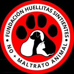 Huellitas Sintientes