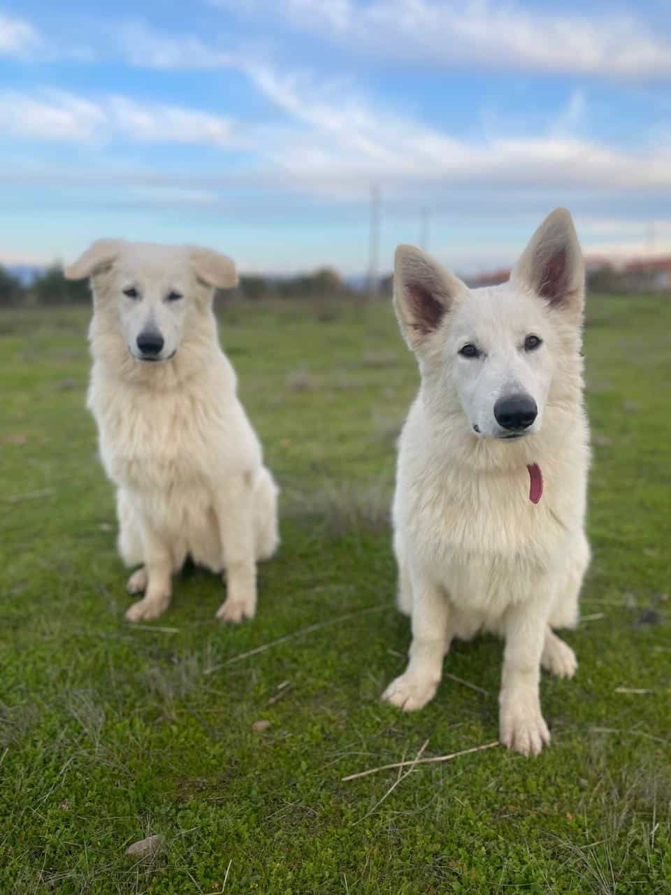 Foto de Kira y alba